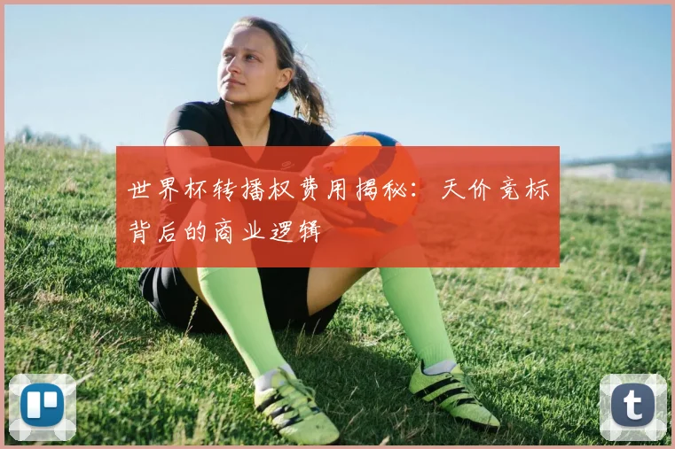 世界杯转播权费用揭秘:天价竞标背后的商业逻辑