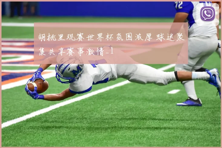 胡桃里观赛世界杯氛围浓厚 球迷聚集共享赛事激情_1