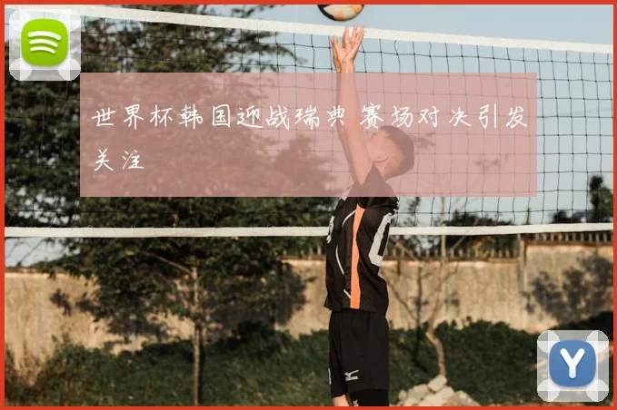 世界杯韩国迎战瑞典 赛场对决引发关注