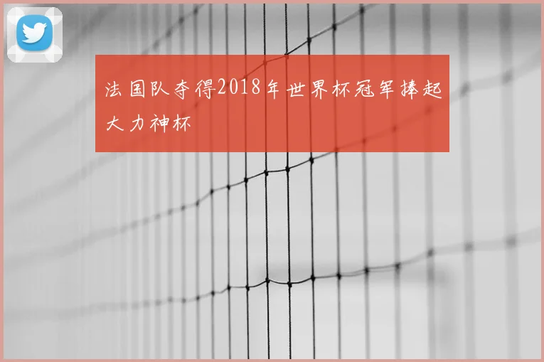 法国队夺得2018年世界杯冠军捧起大力神杯