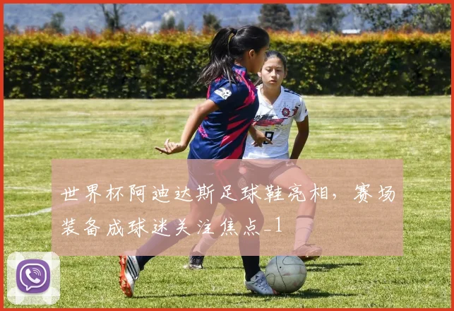 世界杯阿迪达斯足球鞋亮相，赛场装备成球迷关注焦点_1