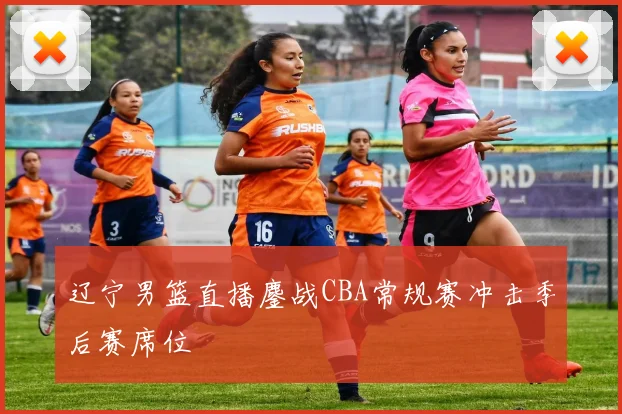 辽宁男篮直播鏖战CBA常规赛冲击季后赛席位