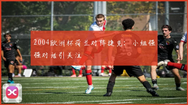 2004欧洲杯荷兰对阵捷克：小组强强对话引关注