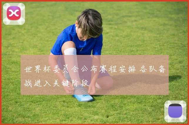 世界杯委员会公布赛程安排 各队备战进入关键阶段