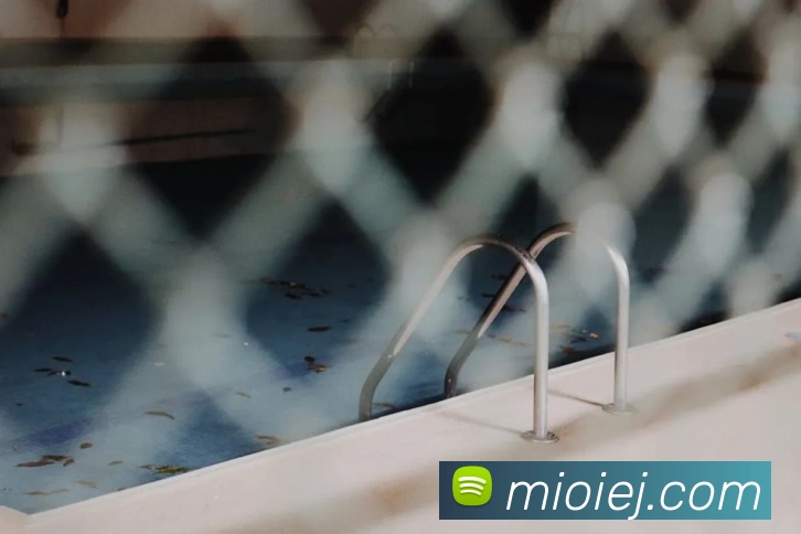 世界杯开户平台发展历程